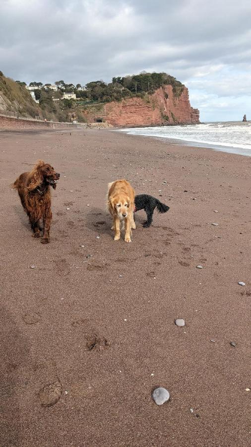 Seaside Guest House A Stone'S Throw From The Beach Dawlish Esterno foto